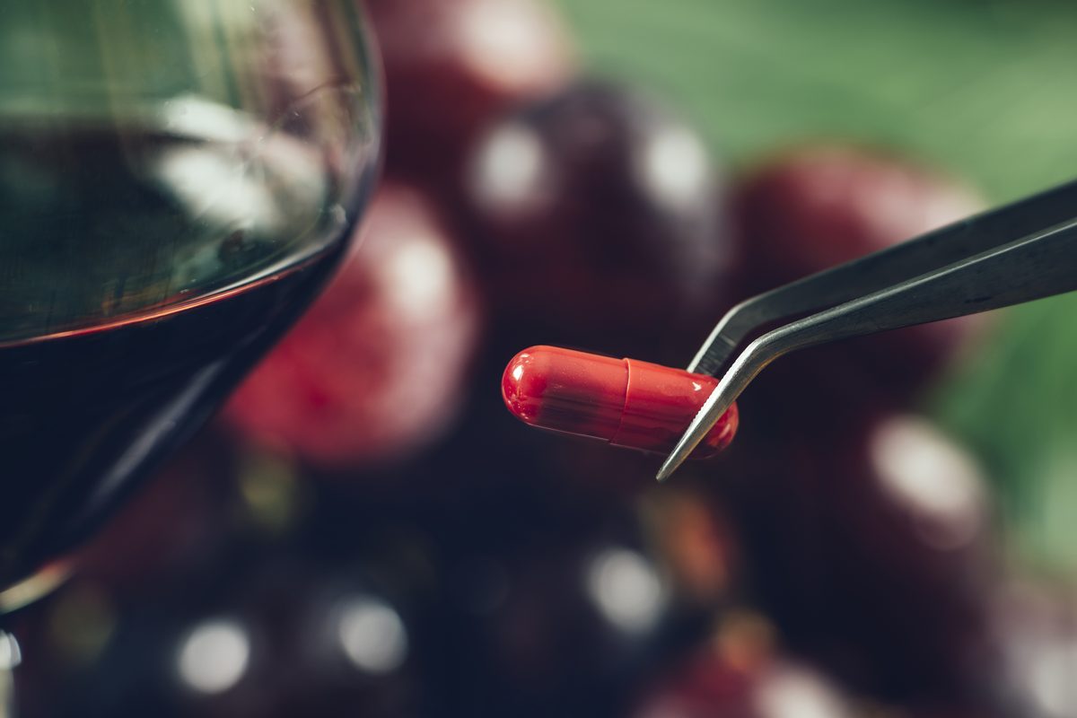 No 8 – Probiotic Experiments