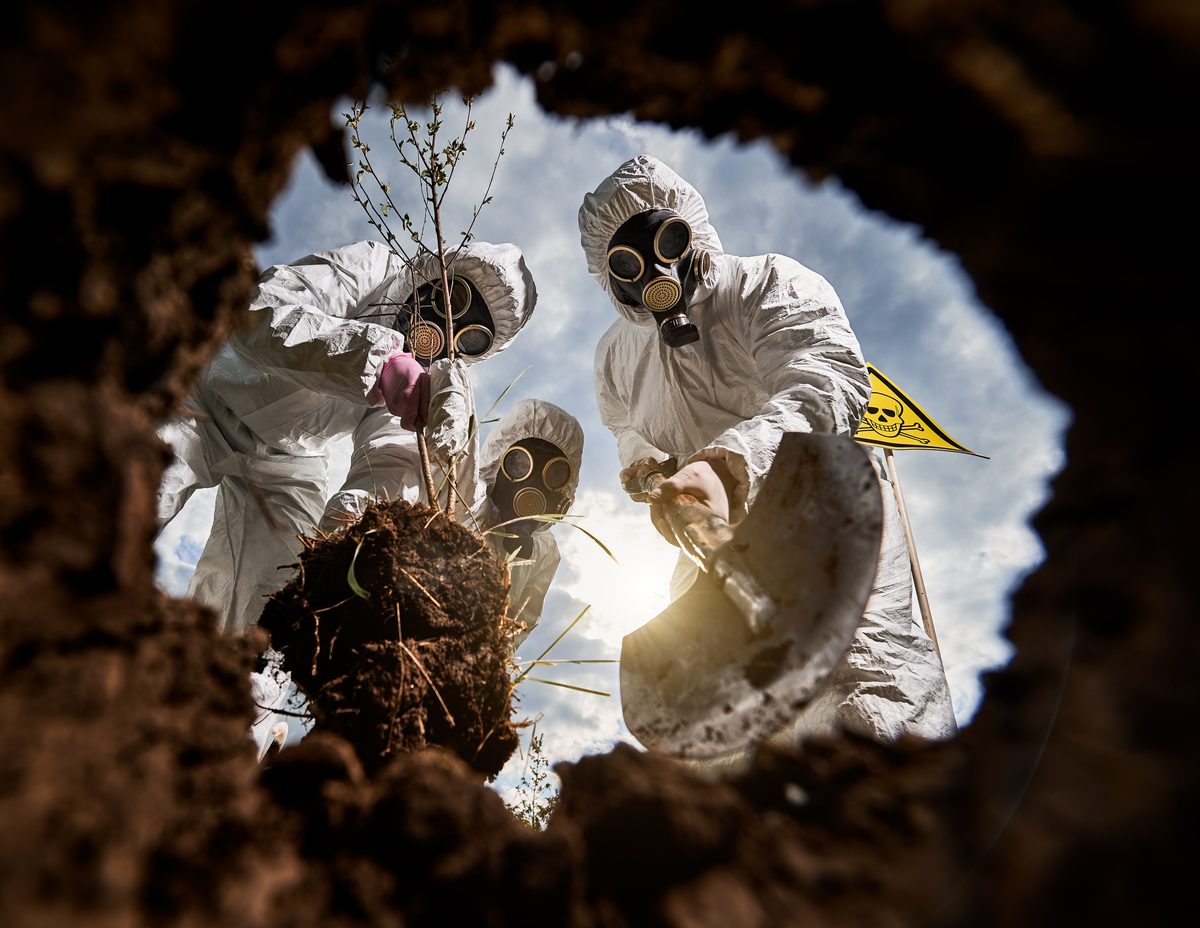 No 17 – Environmental Exposomes