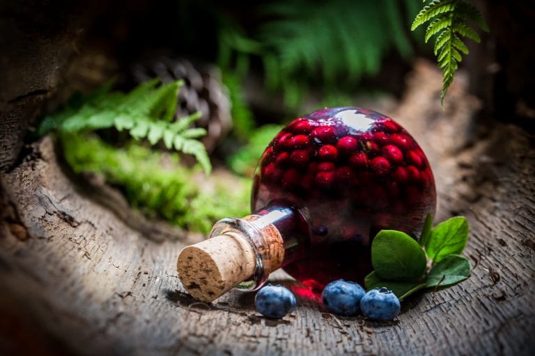 Fiber, Polyphenols, Prebiotics