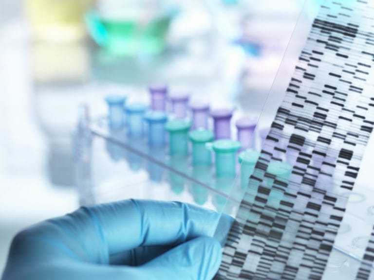 IV. 9. Genetics and Personalization