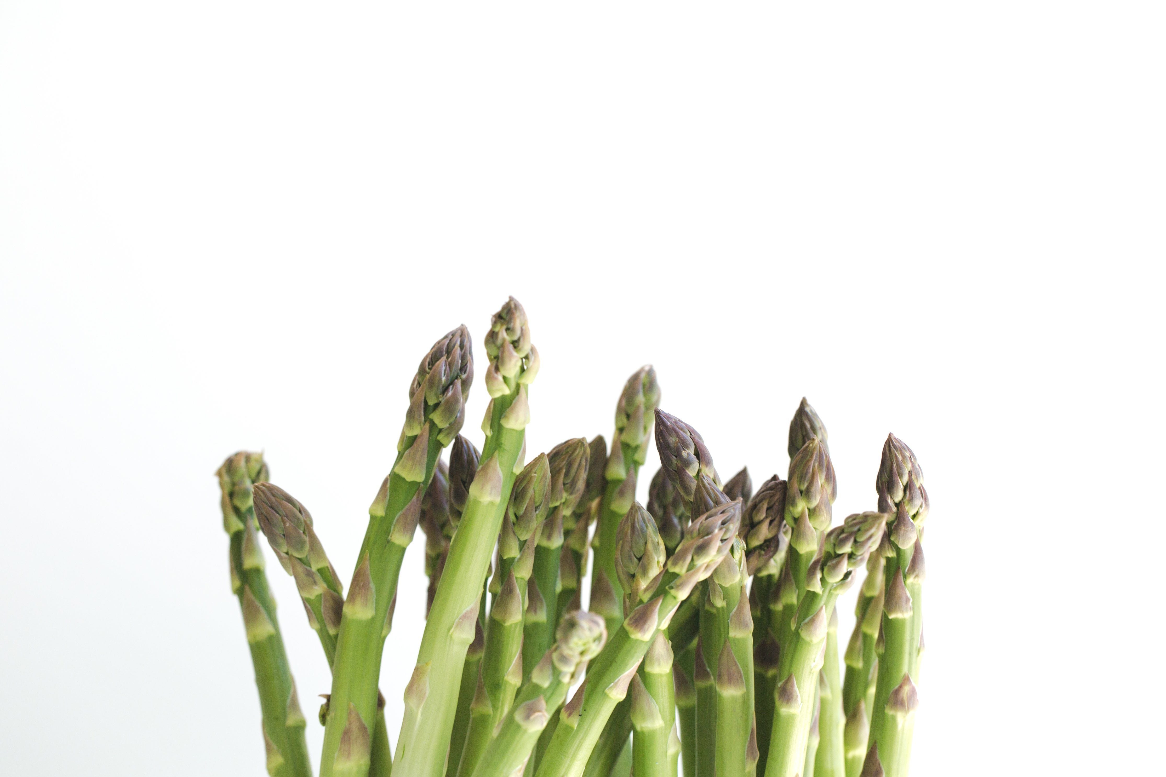 I. 3. Asparagus