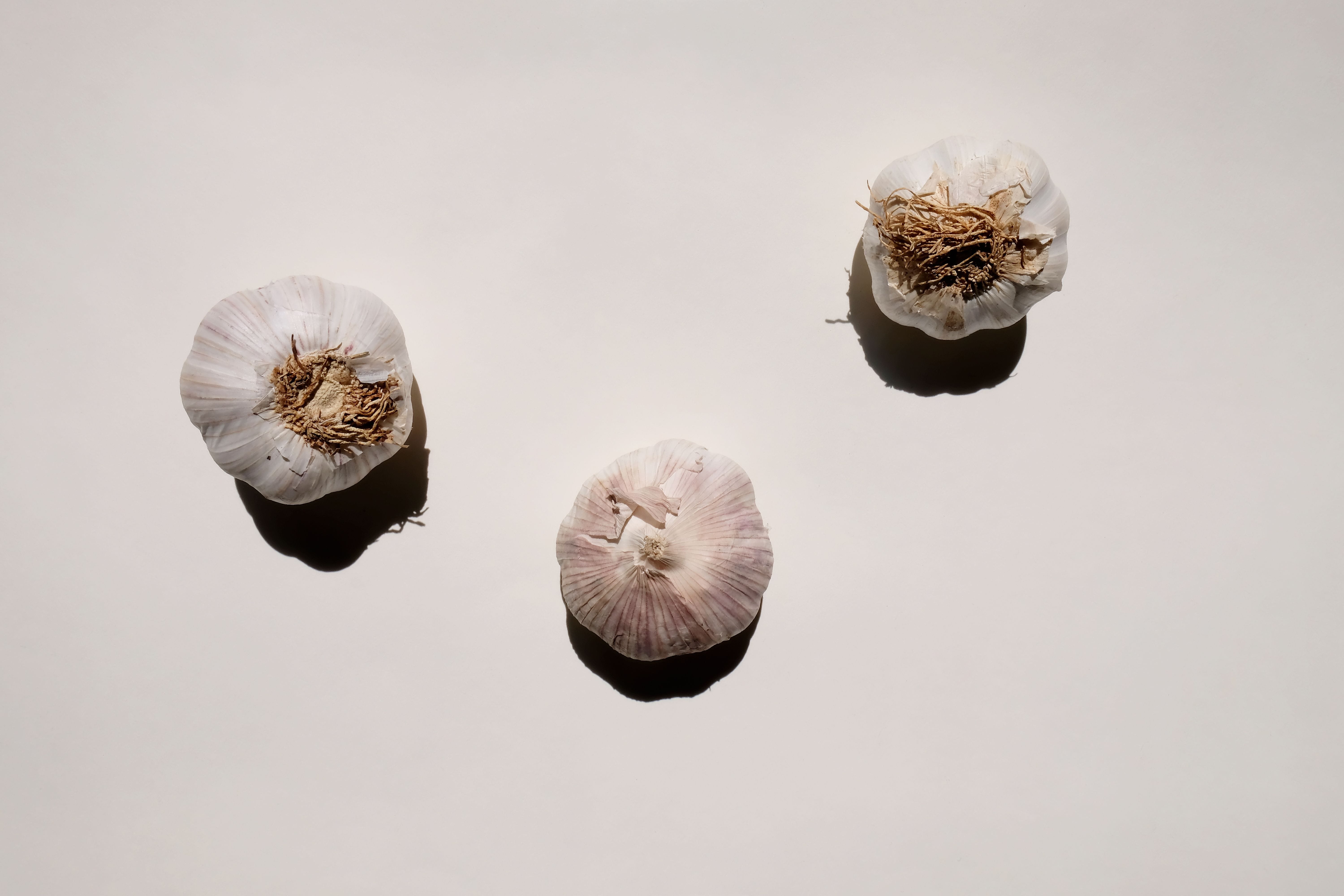 I. 6. Garlic