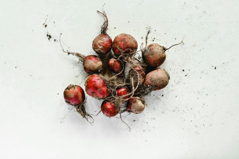 I. 11. Beetroot