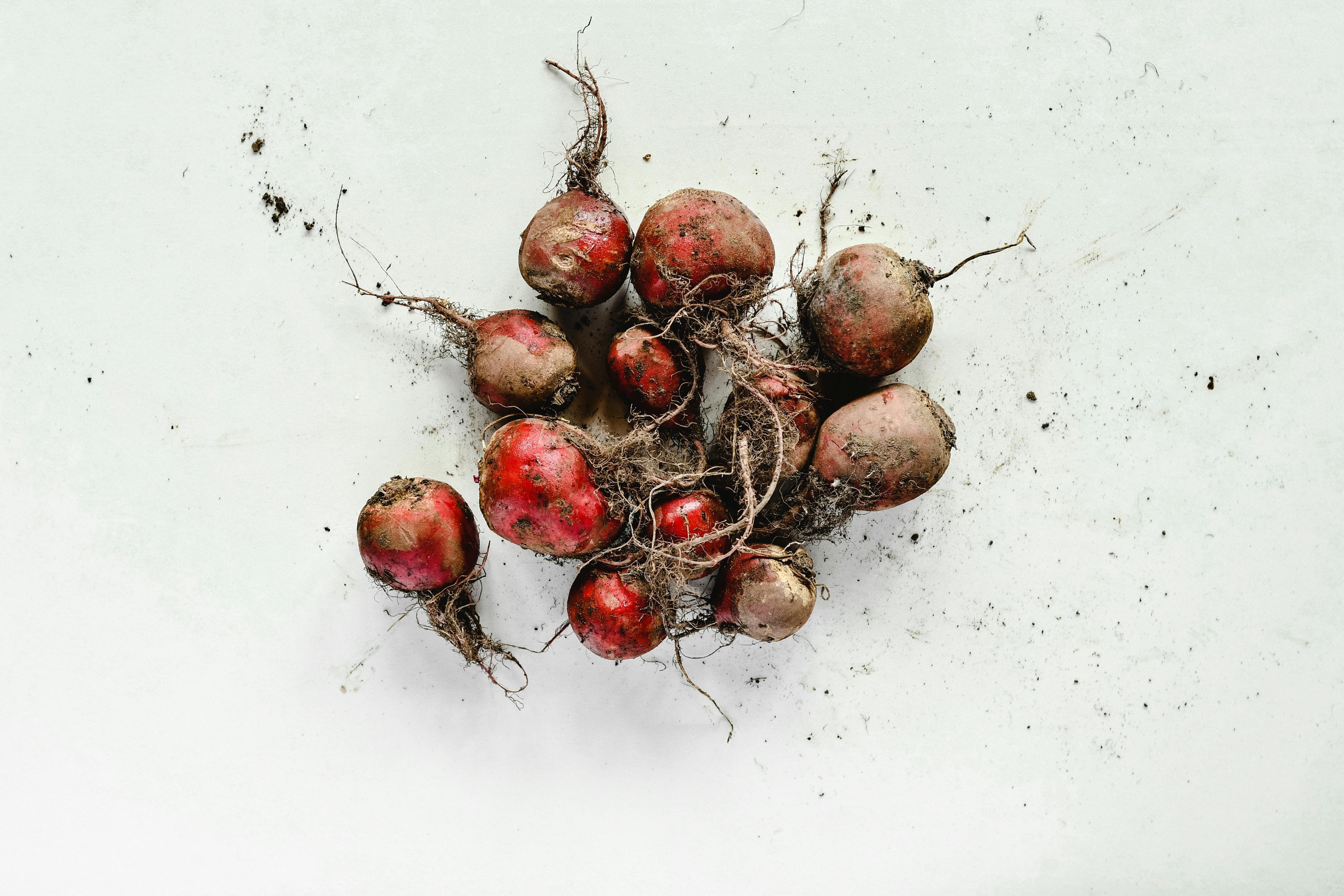 I. 11. Beetroot