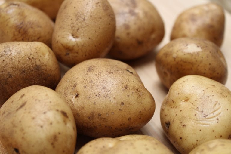 I. 15. Potato