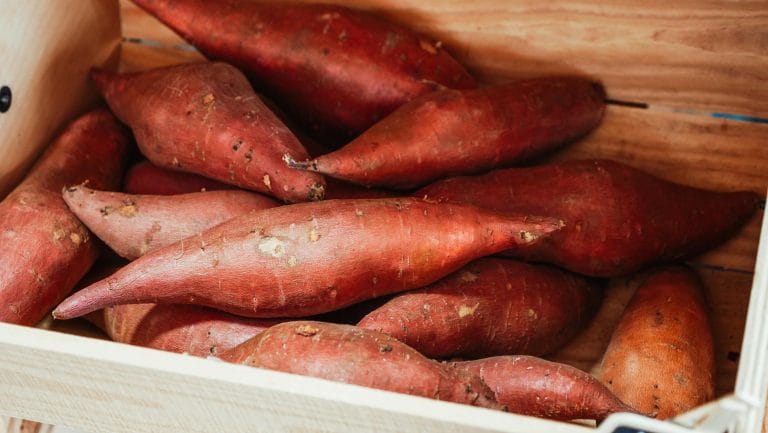 I. 16. Sweet potato