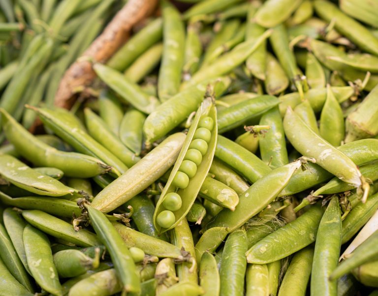 II. 4. Green Pea and Pea Fiber