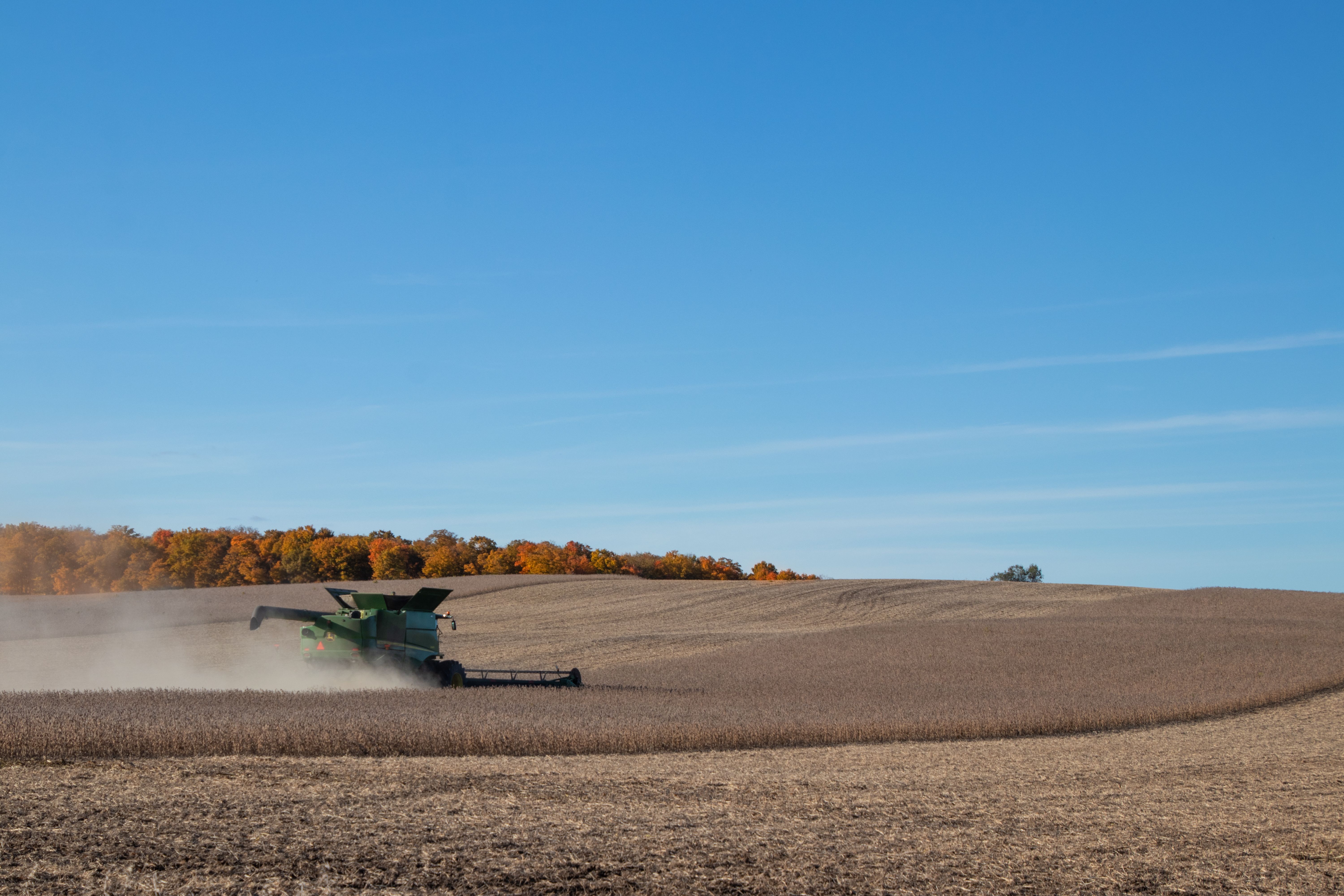 II. 6. Soybean