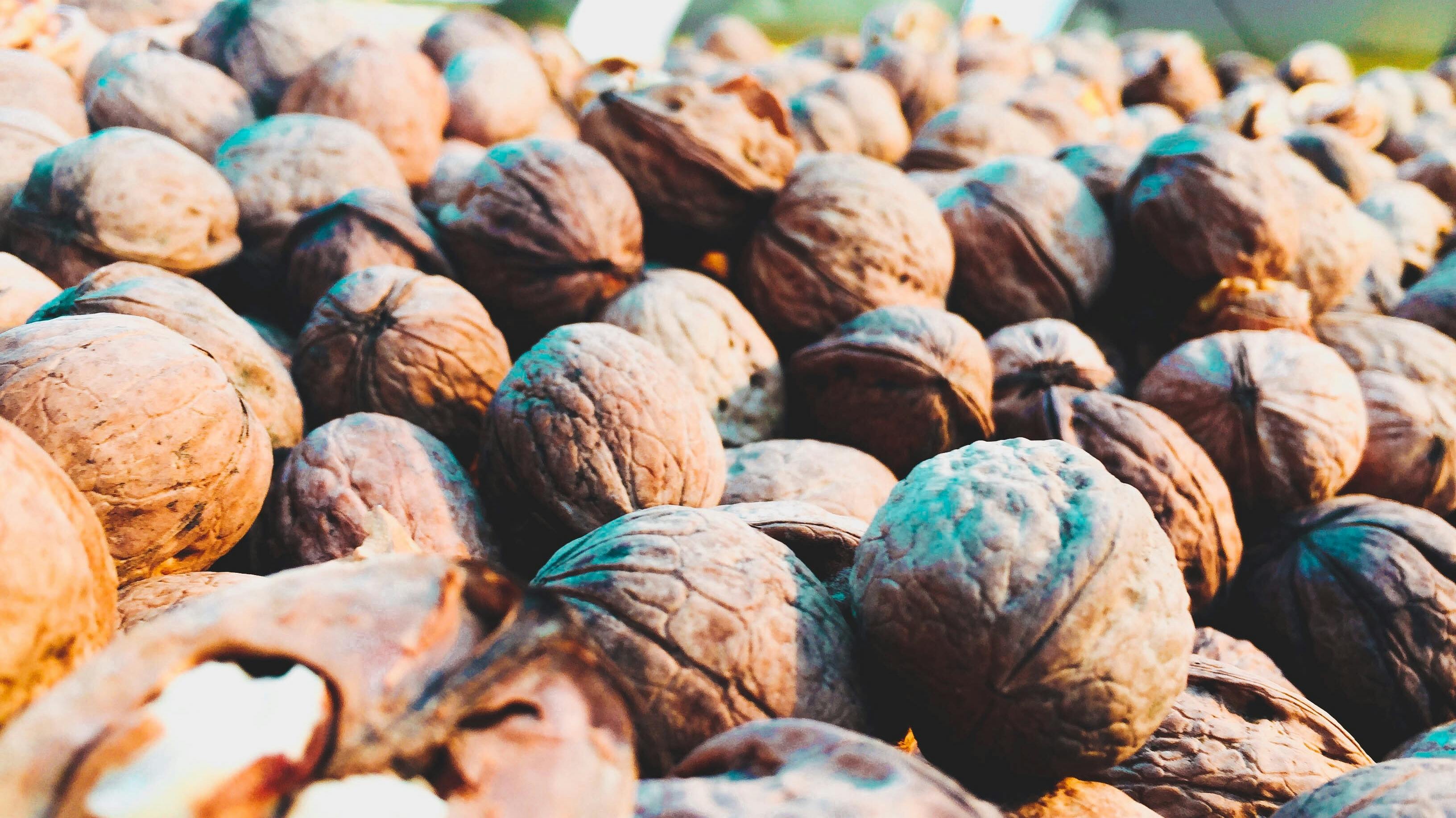 III. 1. Walnut