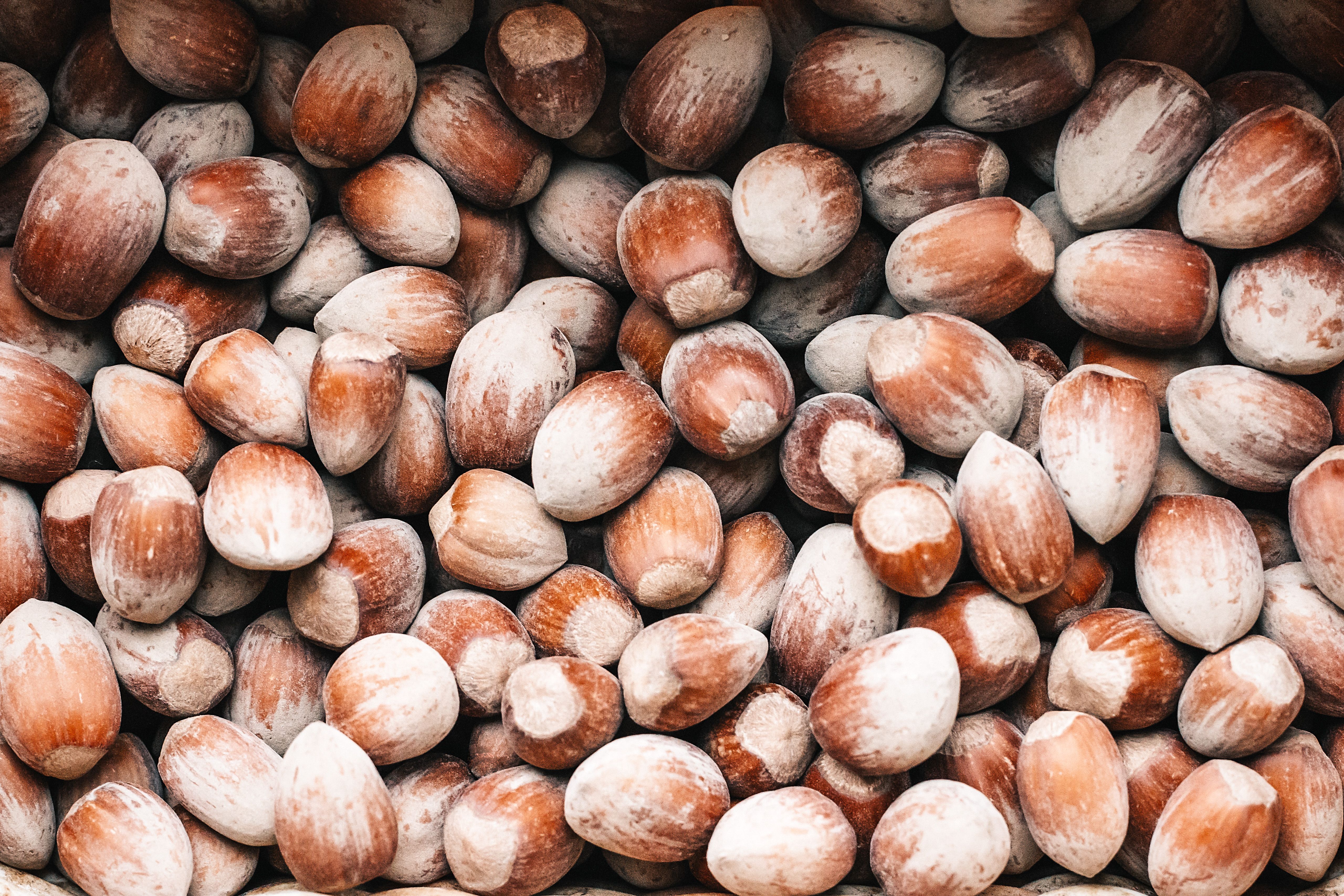 III. 4. Hazelnut