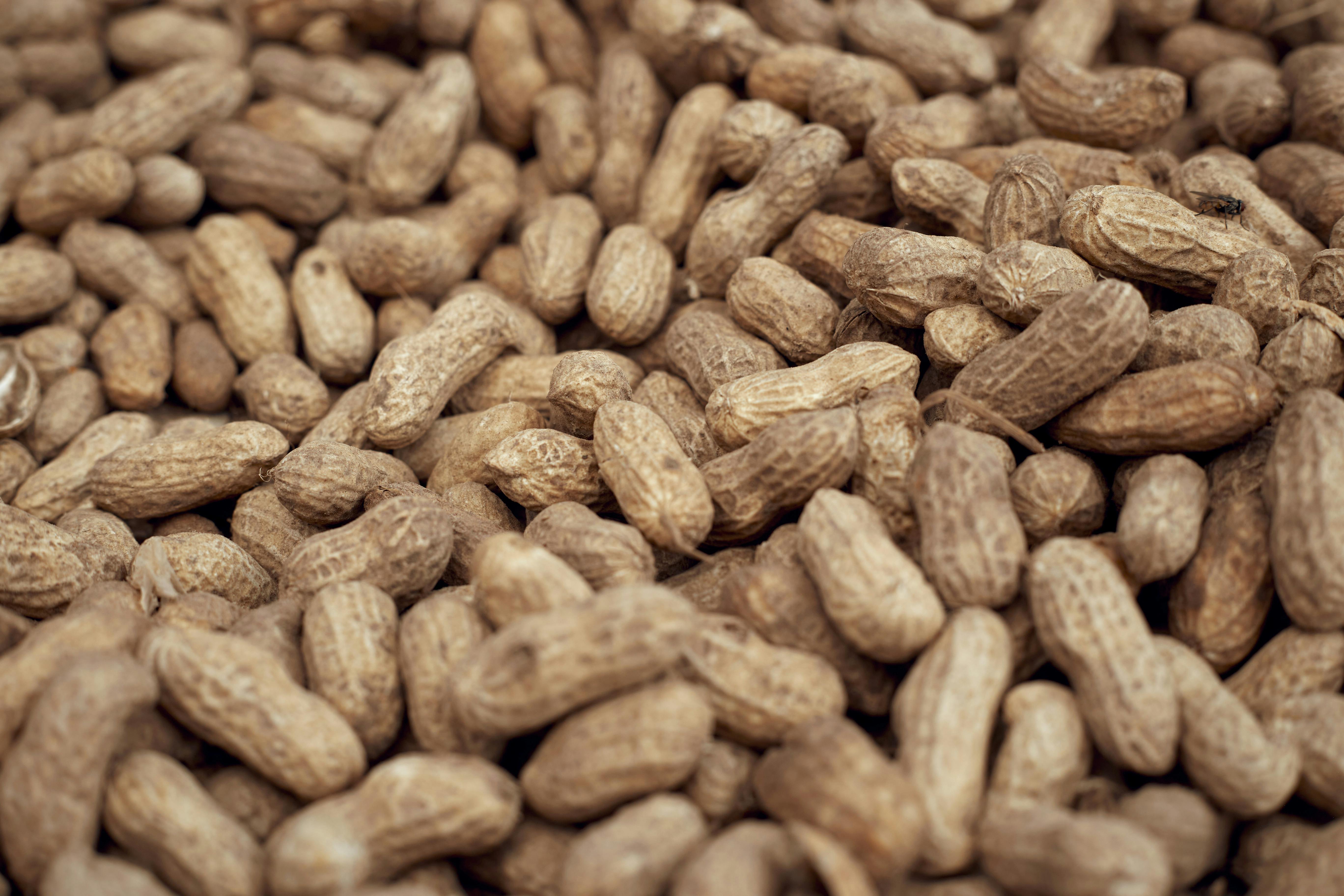 III. 5. Peanut