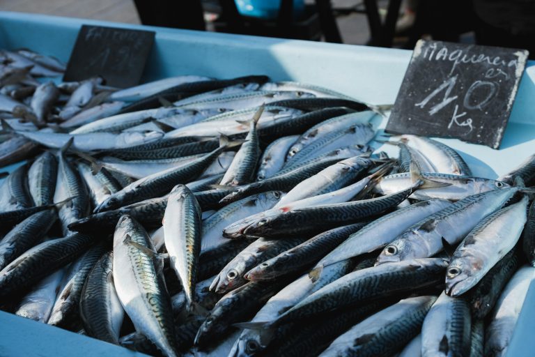 XII. 10. Mackerel