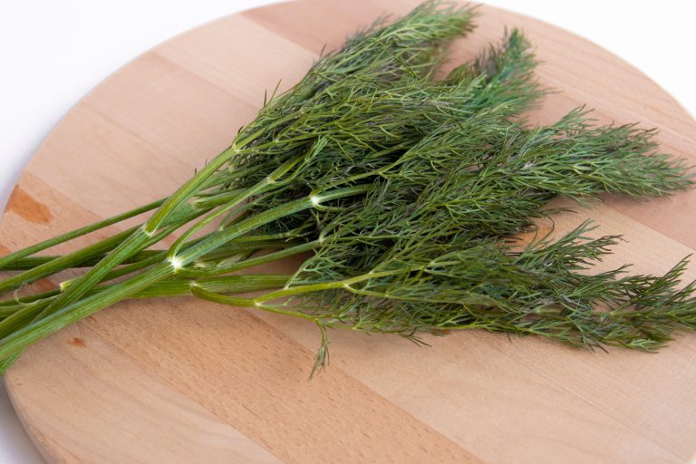 XV. 31. Other classic spices (sumac, bay leaf, dill, tarragon)