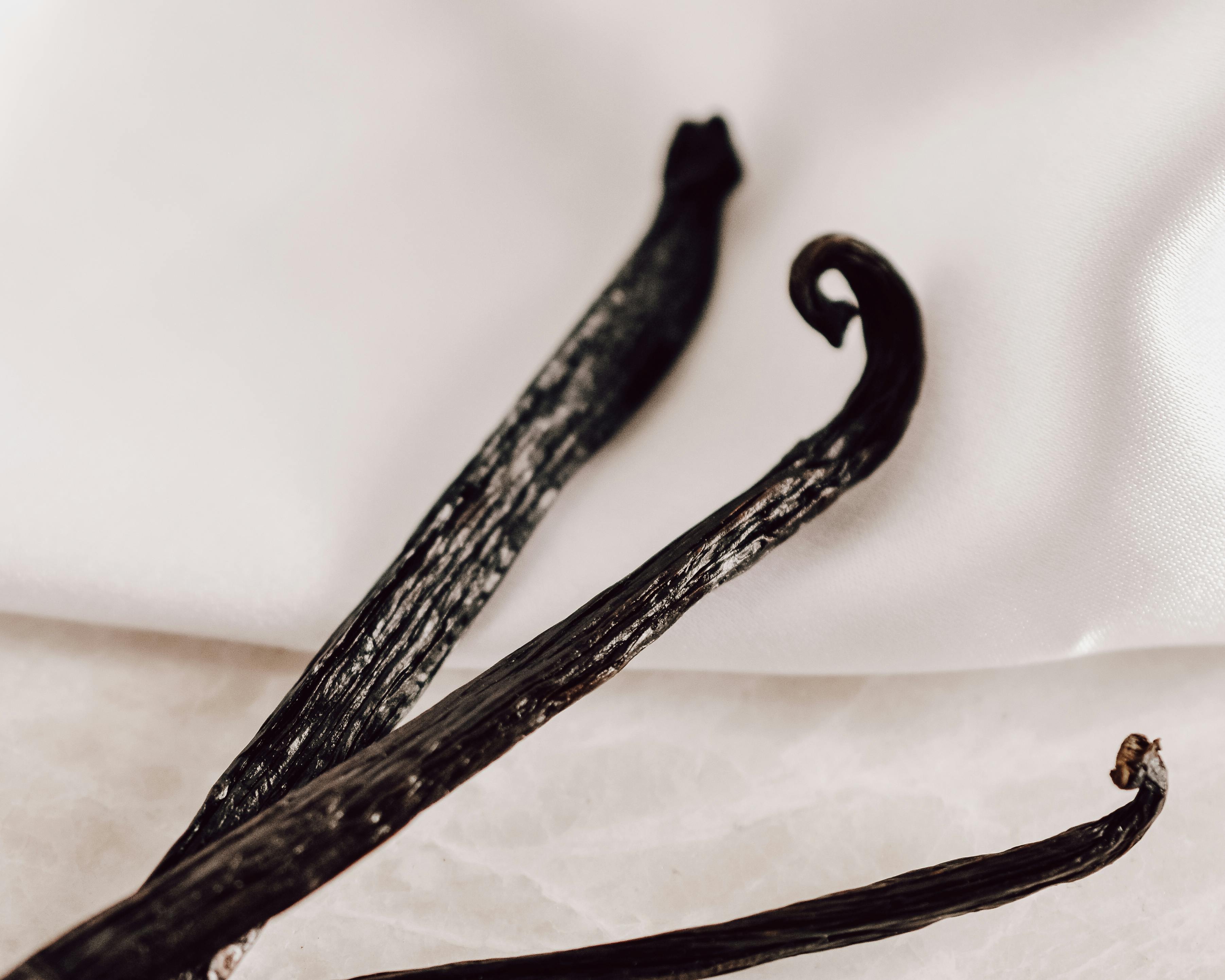 XV. 32. Vanilla