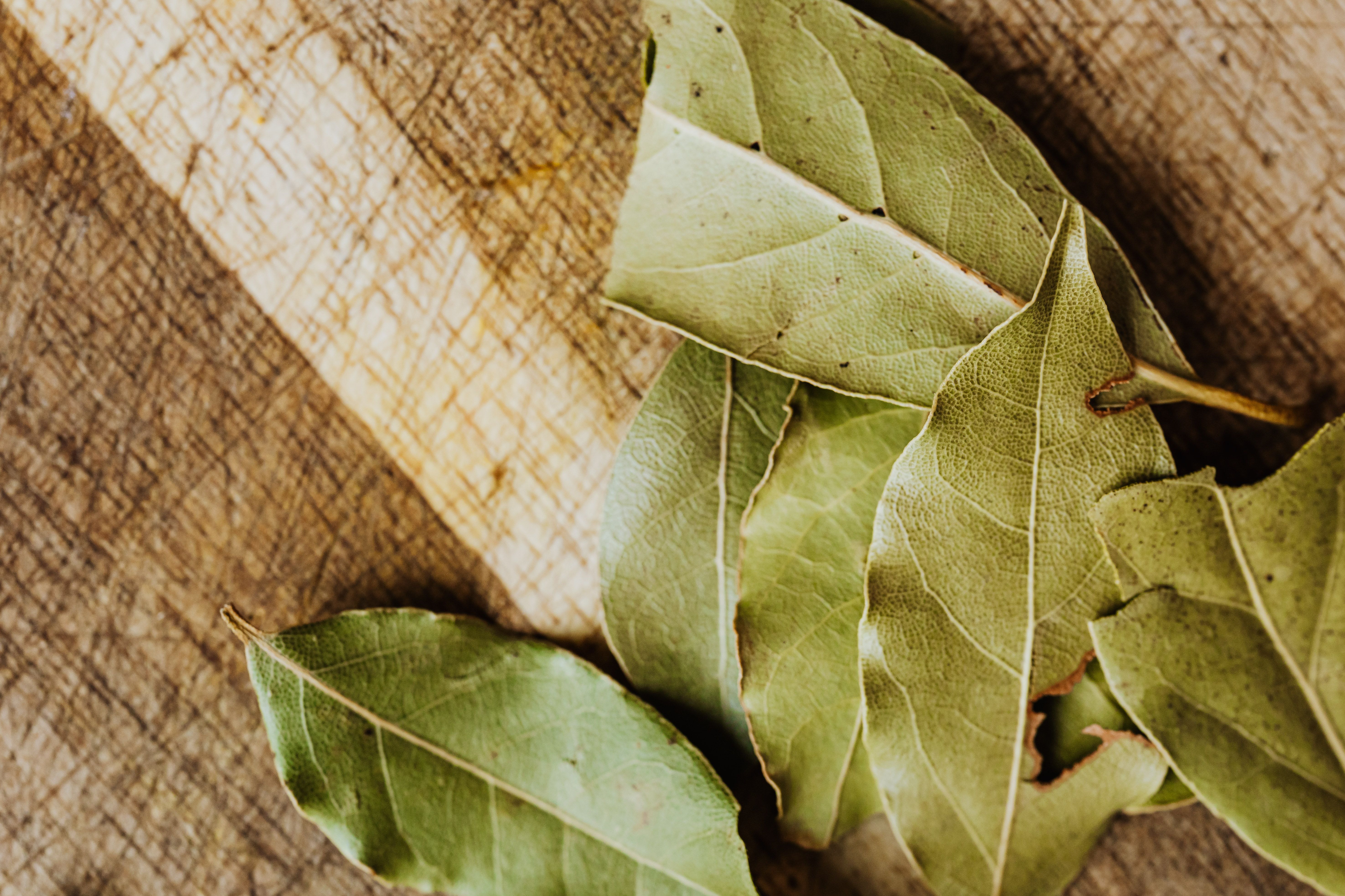 XV. 33. Bay Leaf